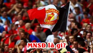 Mnsd Việt Nam